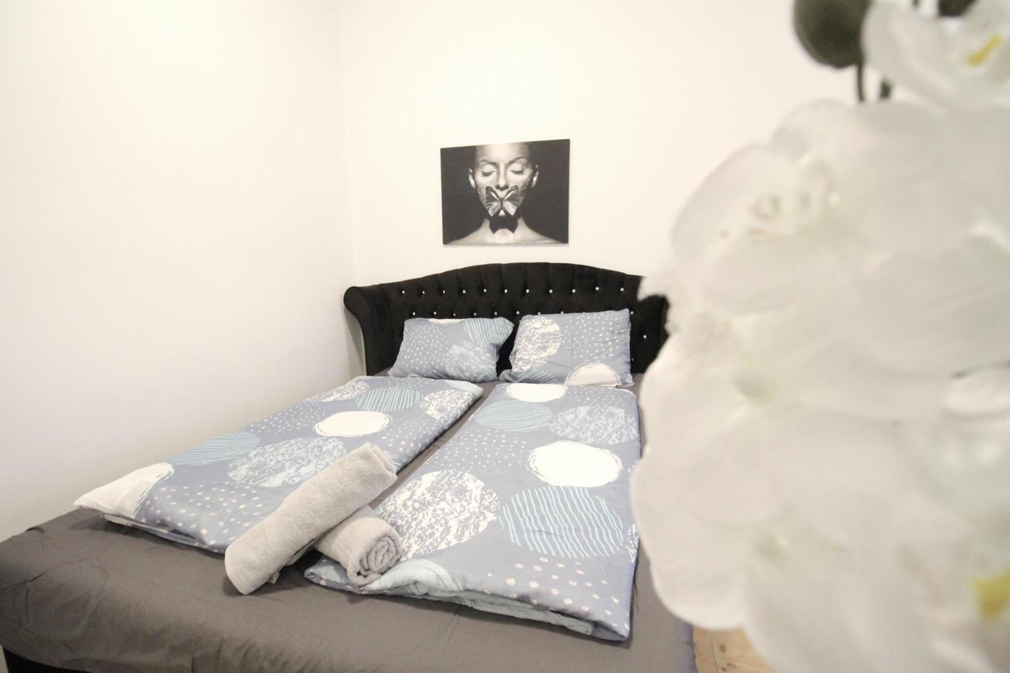 Comfort Hg * Viena